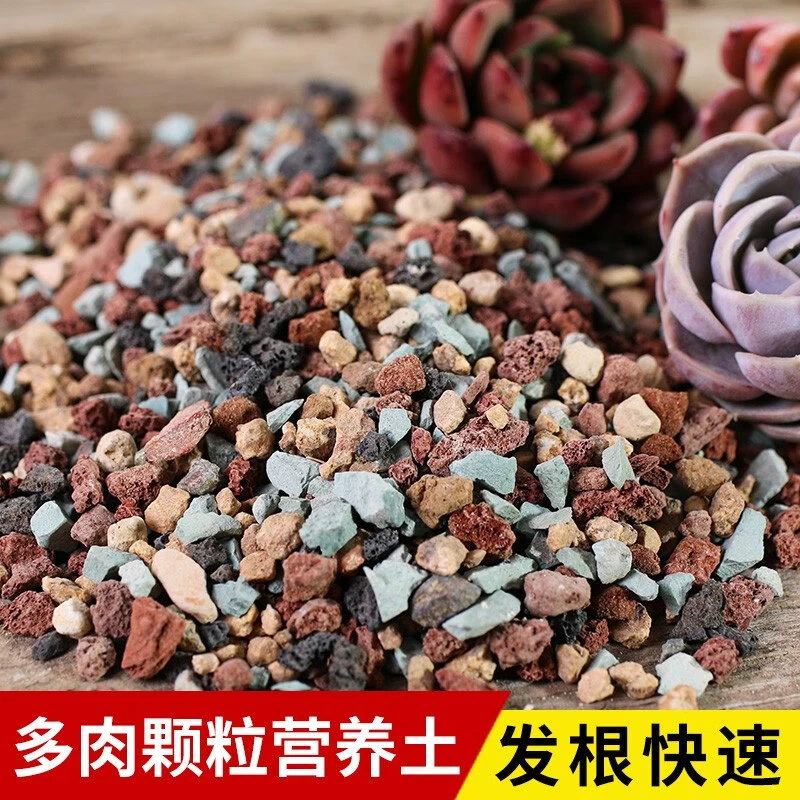 【买3斤送2斤】多肉颗粒土铺面拌土种植多肉植物营养土生根有机土