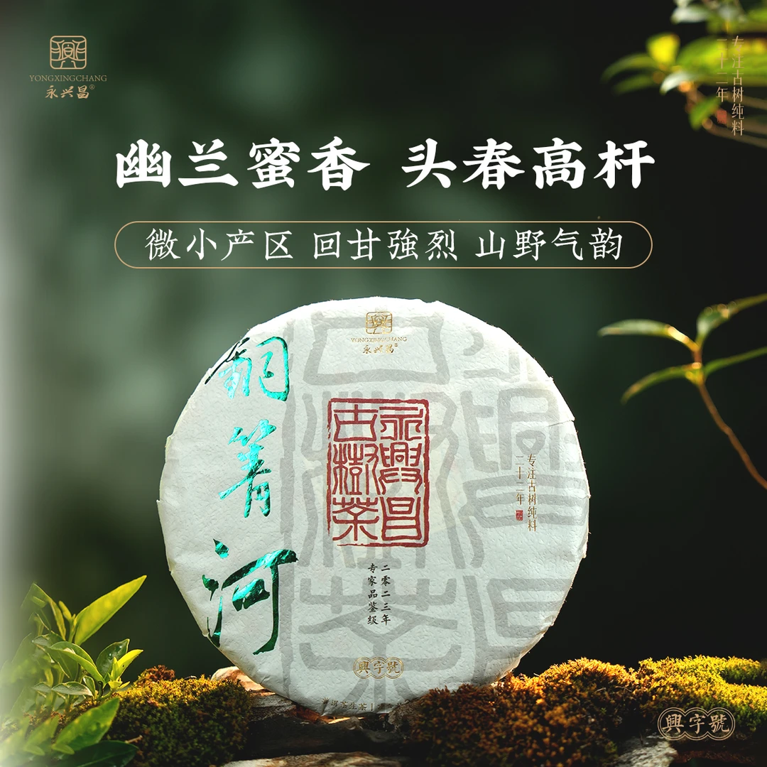 2023年易武·铜箐河古树357g头春头采古树纯料普洱生茶精微产区