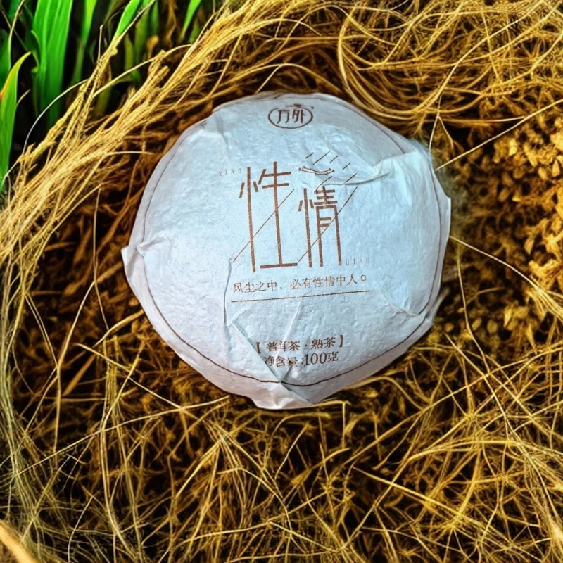2019年性情熟沱【熟茶100g】风尘之中，必有性情中人~