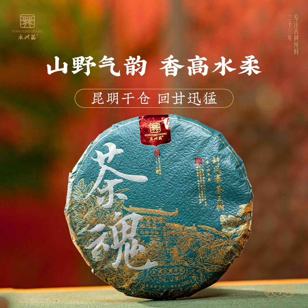 2024刮风寨茶魂200g甄选茶王树头春古树玩家品鉴级普洱生茶