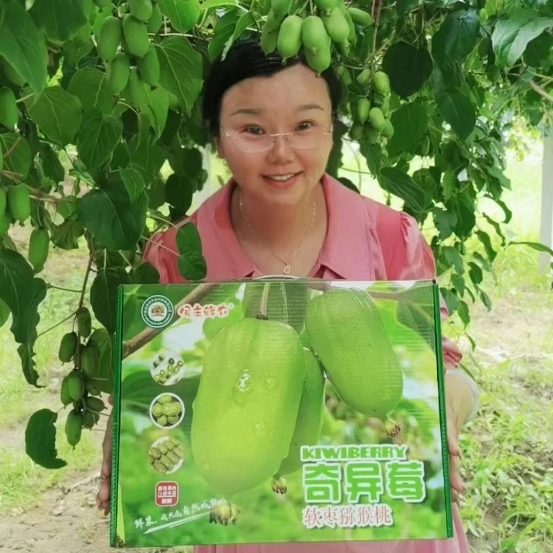 (顺丰包邮)新鲜现摘软枣猕猴桃软枣猕猴桃新鲜现摘奇异莓
