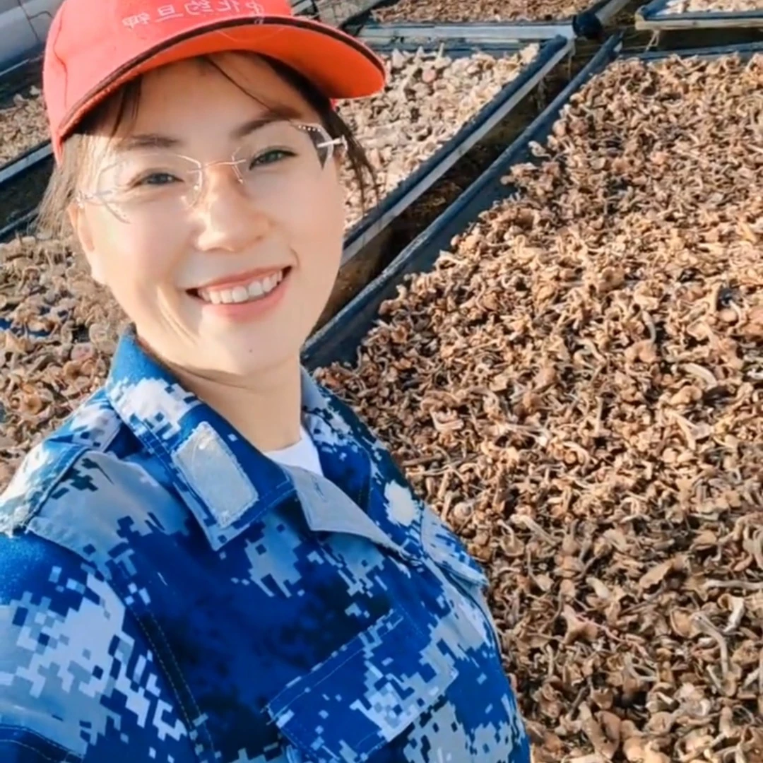 【东北小凤】东北野生榛蘑自家采摘晾晒250g蘑菇榛蘑干货干蘑菇特级