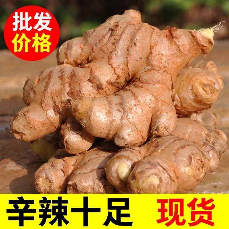 云南生姜老姜批发农家小黄姜产地直销老姜仔姜月子姜3/5/9斤