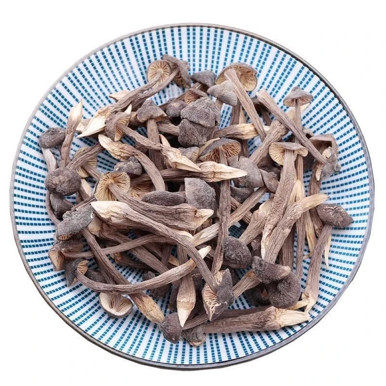 云南特产 赶集收山货 ～黑鸡枞～阿红臻选～250g