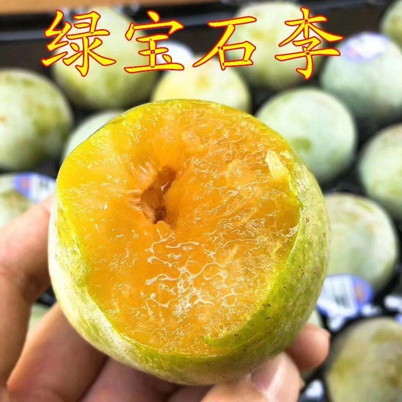 美国绿宝石李子恐龙蛋脆甜李嫁接李子树苗南方北方种植果树