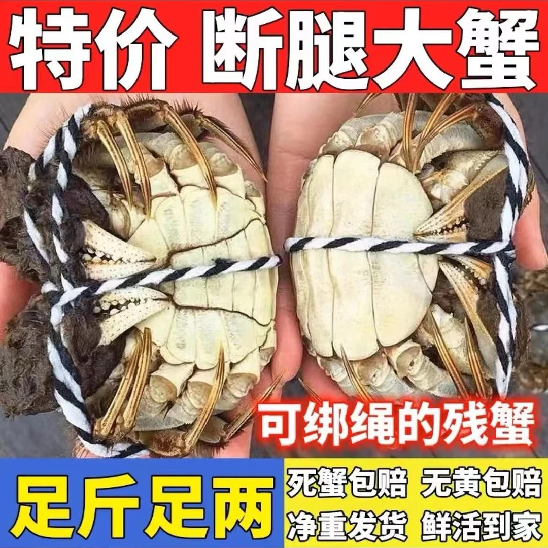 【精品超大缺腿蟹】母蟹4两到手6只