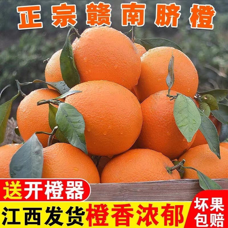 江西正宗赣南脐橙新鲜水果果园直发应季水果皮薄现摘鲜甜脆嫩橙子