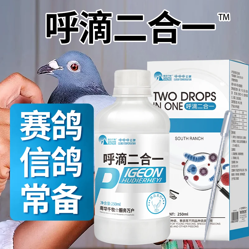 【赛鸽鹦鹉鸟类】呼滴二合一候内有白点口有粘饮水增加翔欲下降