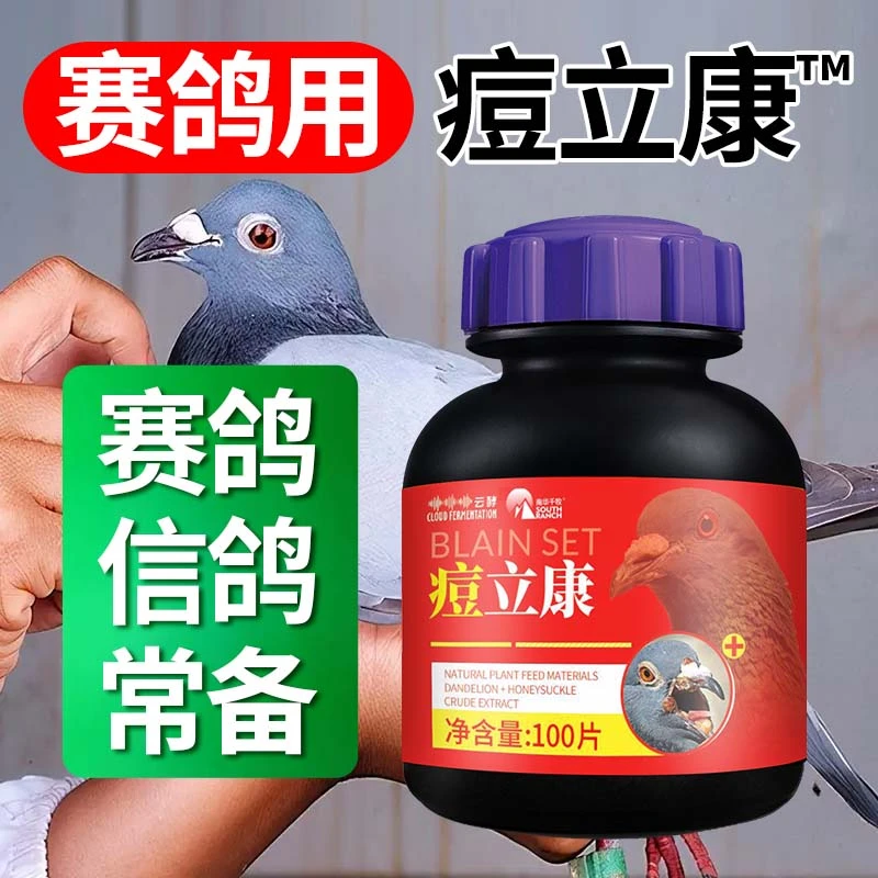 【赛鸽鹦鹉鸟类】逗立康鸽子用品常见鸽逗清赛鸽信鸽种鸽幼鸽