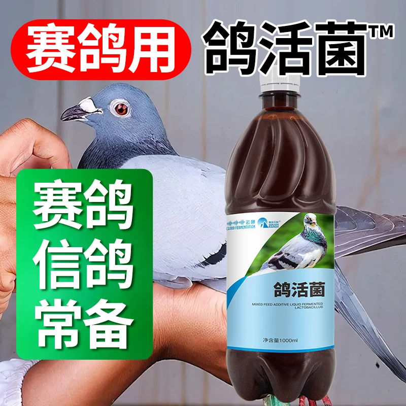 【赛鸽鹦鹉鸟类】活菌W水鸽便绿鸽便稀水发酵乳杆菌肠道养鸽常备