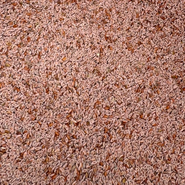 优乡土特产山货（藏、联、夹）