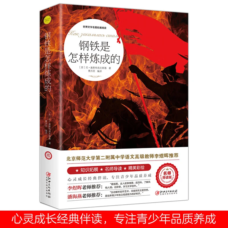 钢铁是怎样炼成的 八年级初中生语文书籍丛书/读物名师导读版正版
