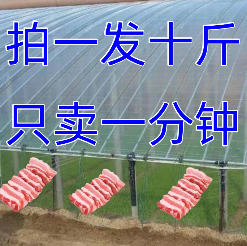 【大棚专属】拍1发10斤