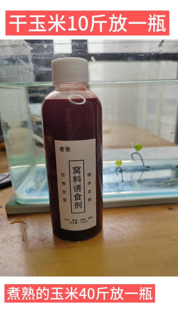 老张红玉米巨物窝料钓鱼诱食剂珠珠反底钓野钓：鲤鱼，草鱼，青鱼