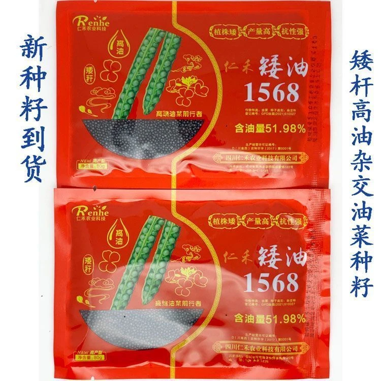 仁禾矮油1568杂交油菜种籽超高产高出油矮杆大籽粒榨油四川油菜籽