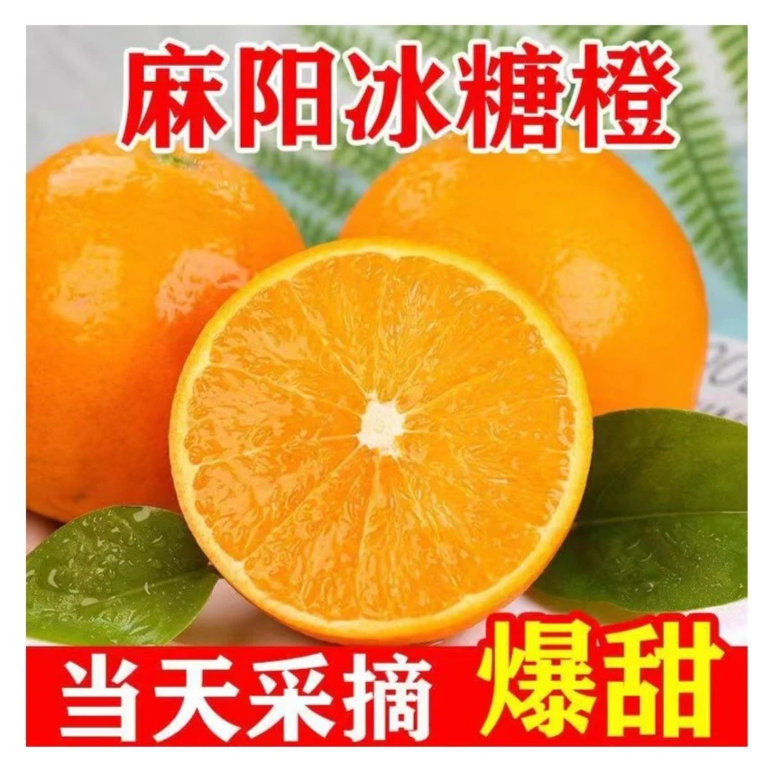 【暴甜】正宗湖南现摘麻阳冰糖橙新鲜当季水果橙子整箱果冻甜橙
