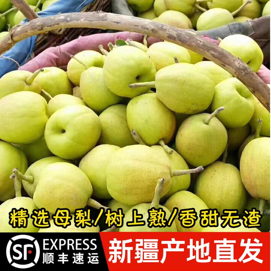 1212精选 新疆库尔勒香梨 全母梨 自然成熟 顺丰包邮 净重5-8.8斤