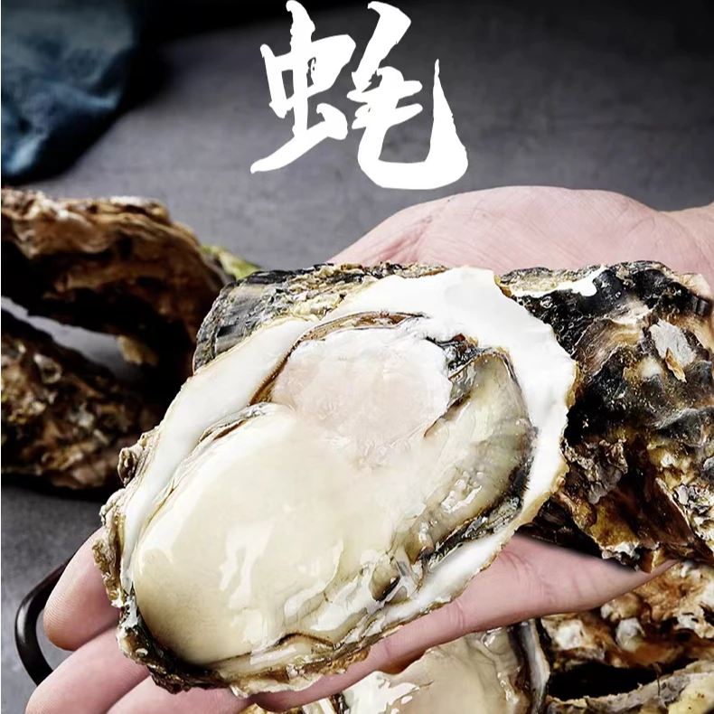 金壹港超大三倍体生蚝（4-5两/个） 5斤