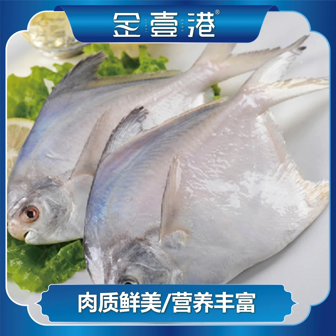 金壹港金壹港 新鲜速冻 鲳鱼银鲳鱼 刺少肉多 500g/包*5包