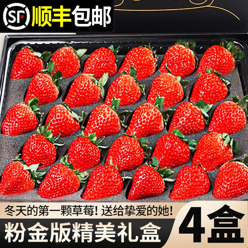 【4盒/箱】礼盒装正宗长丰红颜99奶油草莓九九牛奶草莓新鲜水果顺丰