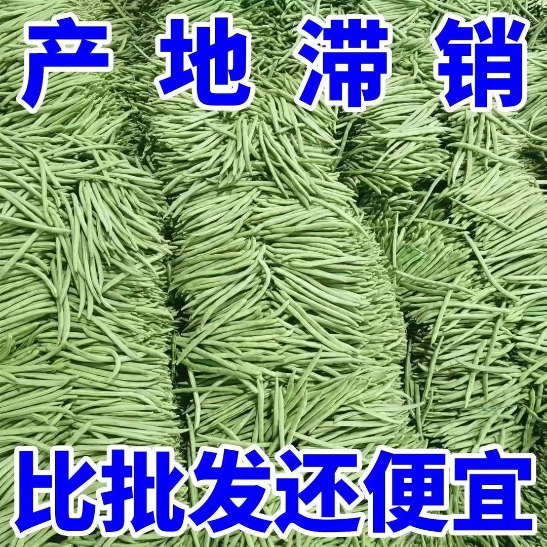 【9斤】云南四季豆批发筋豆角新鲜现摘蔬菜青豆刀豆芸豆扁豆