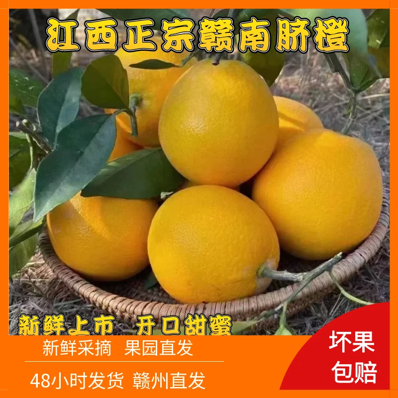 正宗江西赣南脐橙孕妇儿童应季新鲜水果甜橙皮薄多汁果园现摘现发