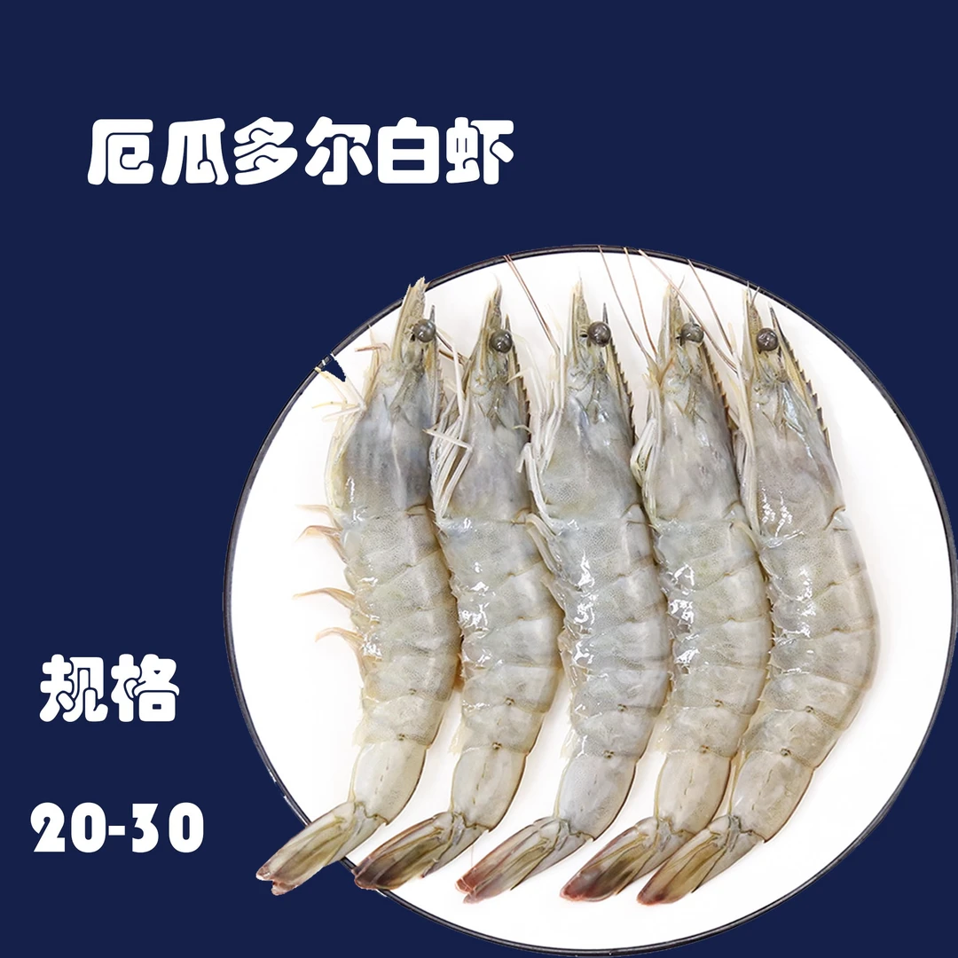 20/30 规格厄瓜多尔原装原盒盐冻南美白虾净重1.65KG/盒活冻锁鲜