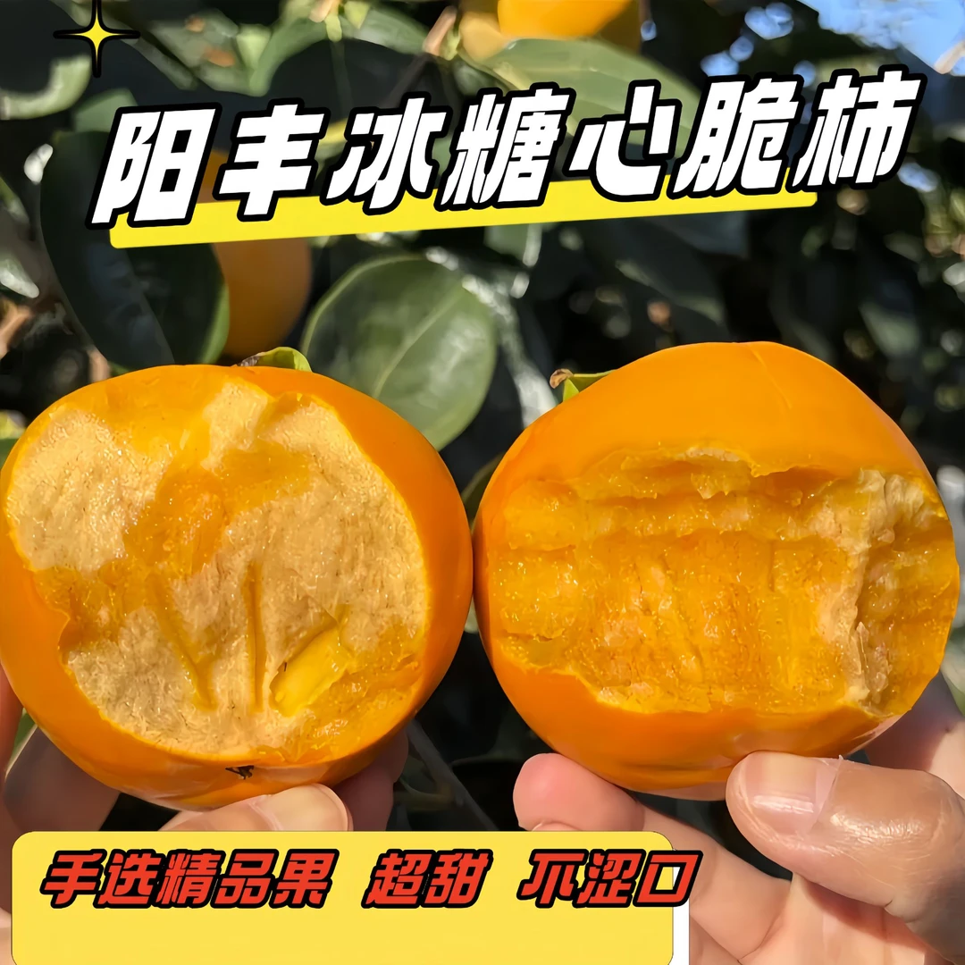 【产地直发】山西正宗阳丰巧克力脆柿新鲜采摘脆甜不涩收到即食