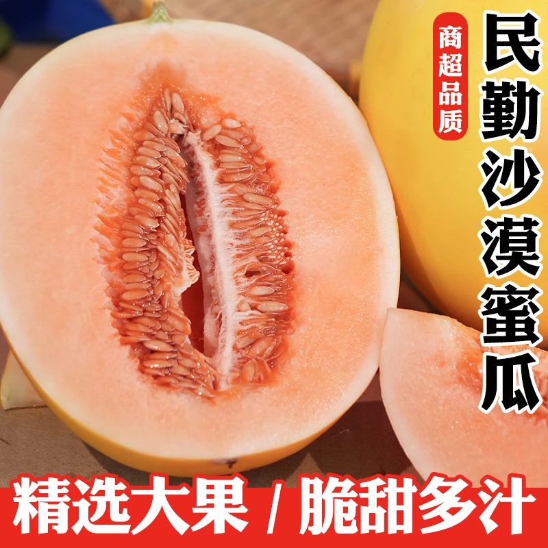 甘肃民勤沙漠蜜瓜现摘蜜瓜金红宝整箱2/6-7/8-9斤
