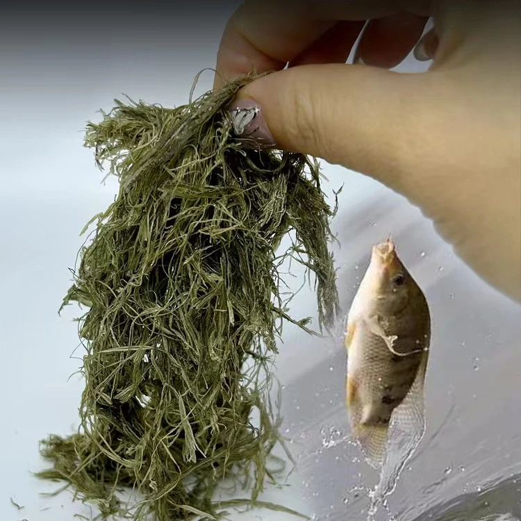 昆布丝海带泥昆布丝拉饵罗非昆布丝鱼饵丸九昆布丝真昆布丝