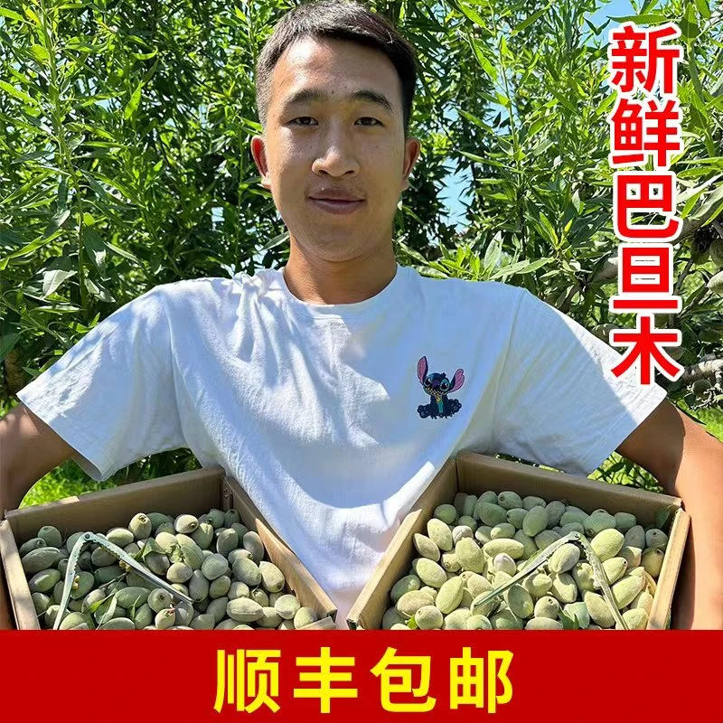 【顺丰包邮】新鲜巴旦木青皮大杏仁新鲜巴达木食用农产品3/5斤