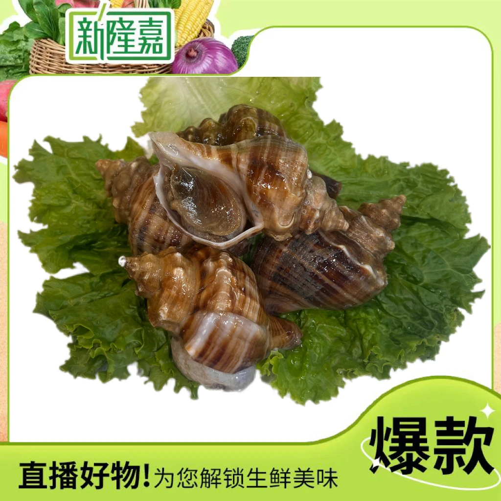 大连本地冷水螺（保活）
