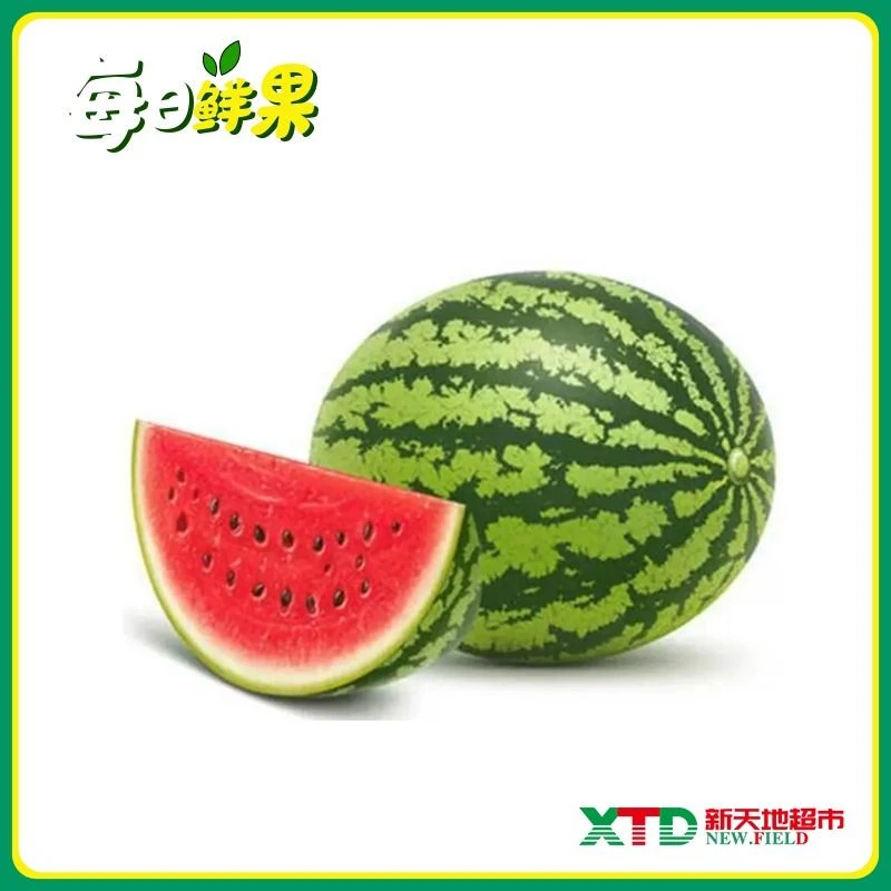 【新鲜水果】超甜麒麟西瓜1个 约6-7斤/个