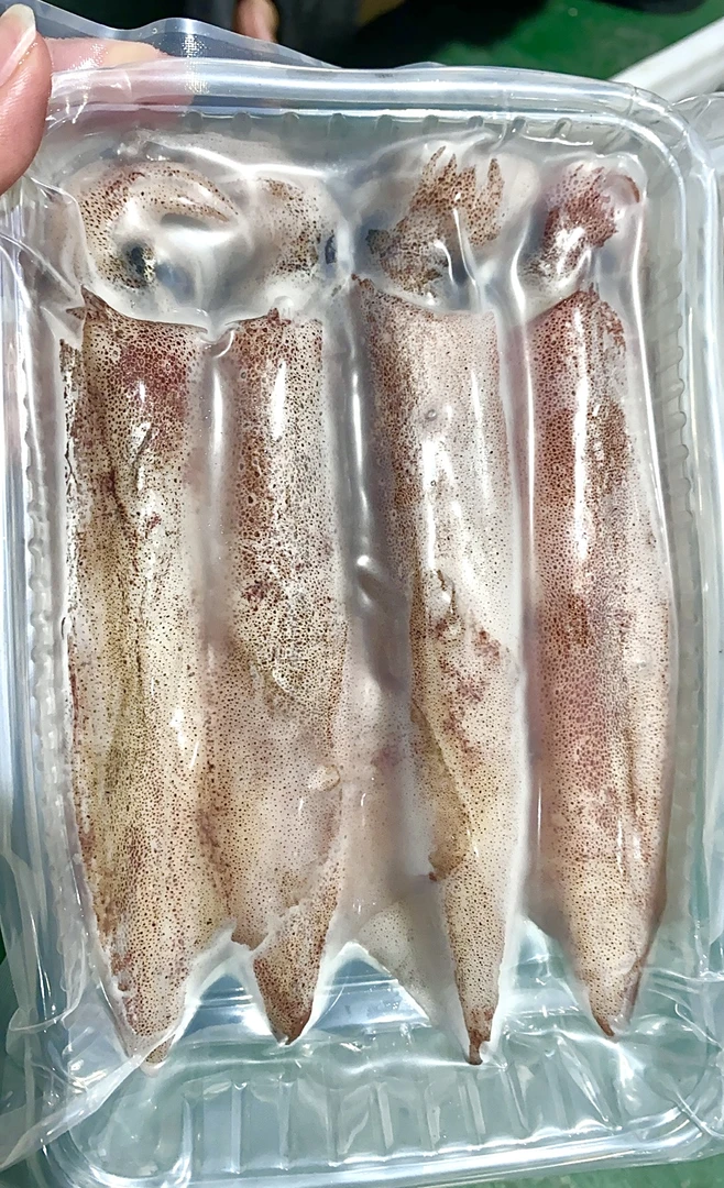 钓鱿/5盒 十七仔惠来海鲜 一盒500g 广东省内包邮顺丰冷链