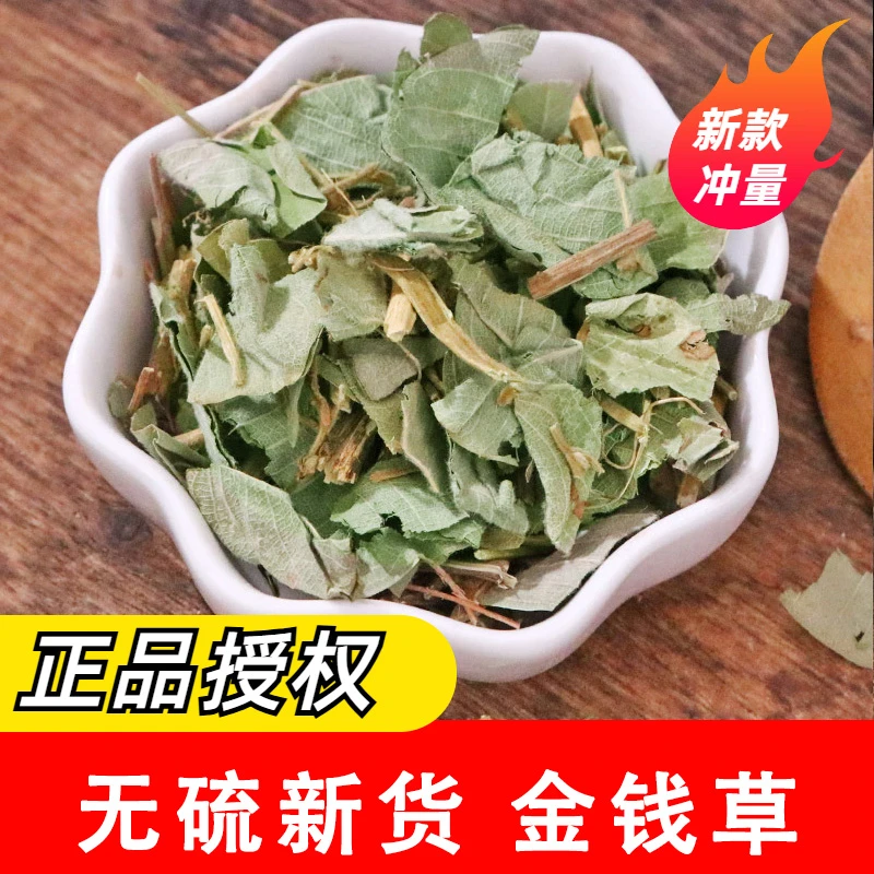 正宗金钱草 精选无硫新货大叶金钱草新鲜金钱草干货鱼腥草泡水