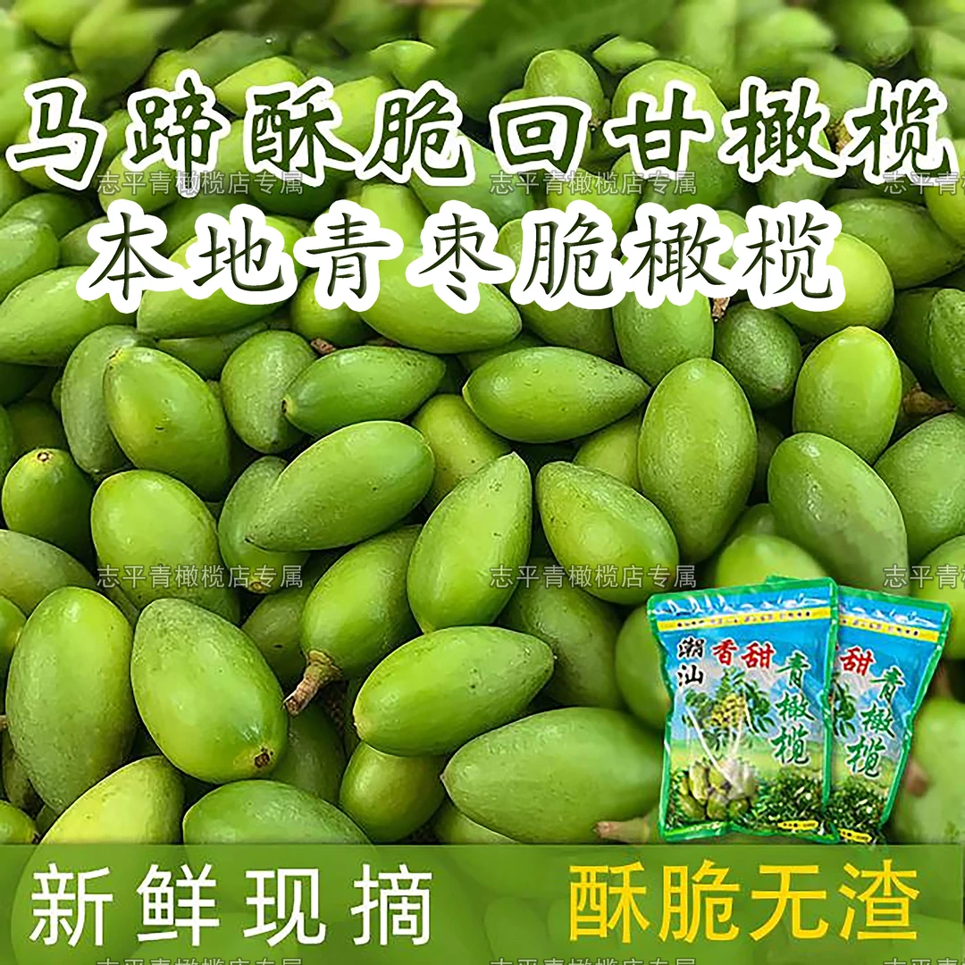 眼镜弟本地马蹄酥脆潮汕青枣脆橄榄新鲜酥脆回甘橄榄鲜果原味