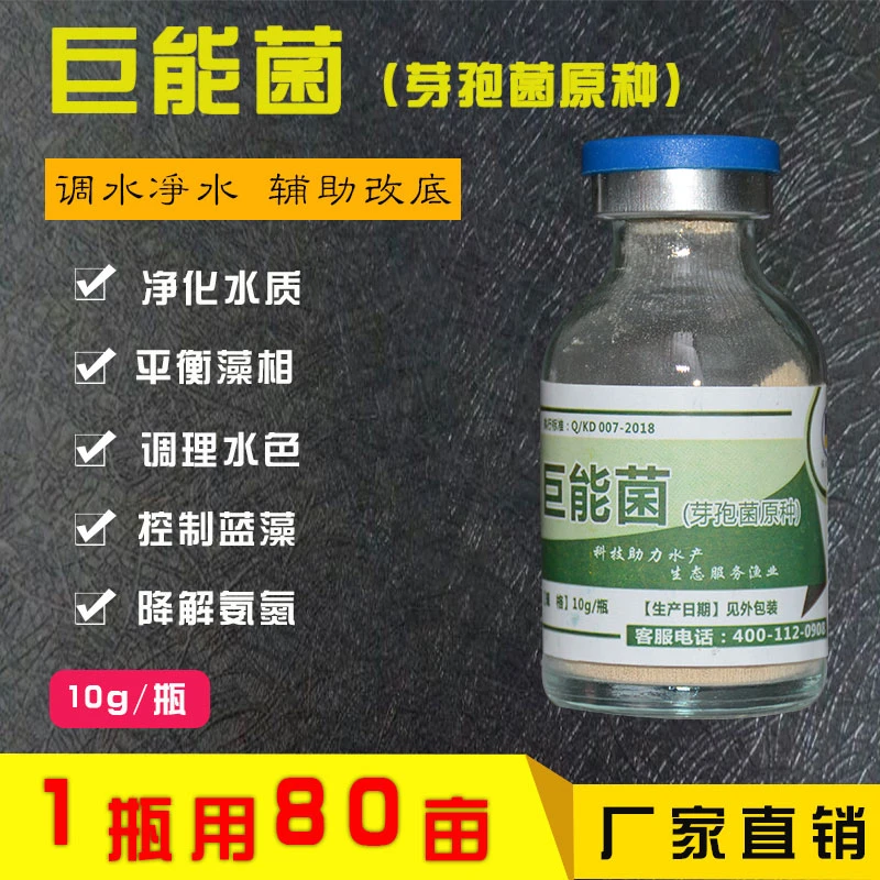 巨能菌芽孢菌【买五发七】净水快速水产养殖抑制有机抑制高效