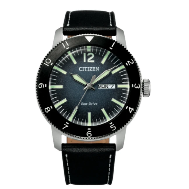 Citizen/西铁城光动能腕表AW0077-19L