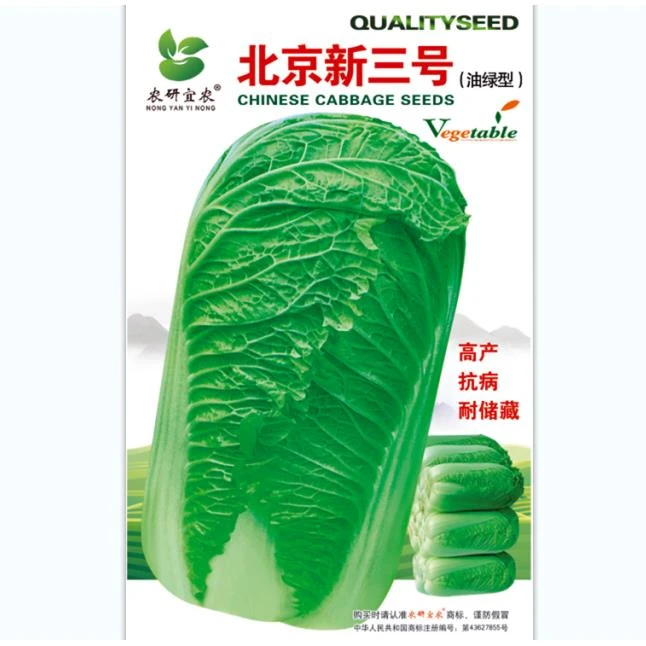 北京新三号白菜种子