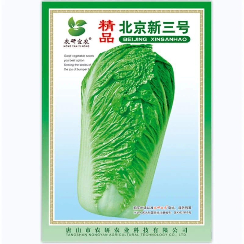 精品北京新三号：大白菜品种抗病强，老品种，抗干烧心白菜种子。