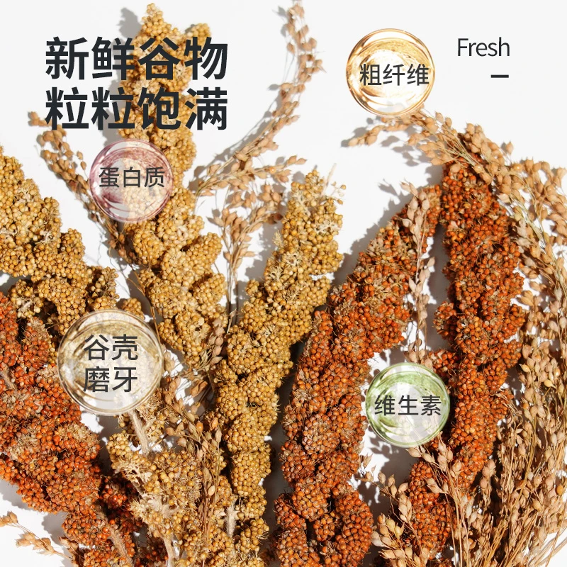 JONSANTY/宠尚天谷穗零食磨牙装饰造景金丝熊营养鹦鹉粮食玩具