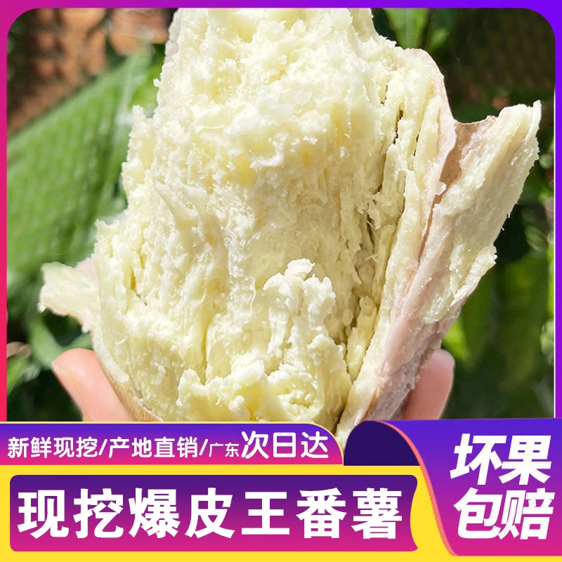 广东新鲜板栗薯沙地爆皮王番薯粉糯香甜白心地瓜红薯3/5/9斤现挖