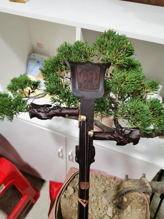 非洲紫檀四胡（莆仙戏主胡）