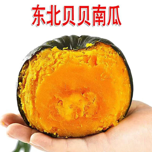 东北南瓜东北窝瓜贝贝南瓜3斤5斤顺丰包邮