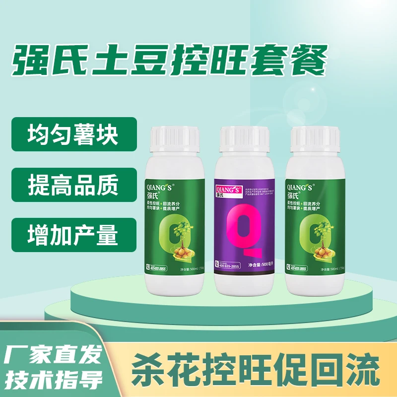 土豆马铃薯洋芋控旺缩节控秧均匀薯块提高品质增产量残留控旺