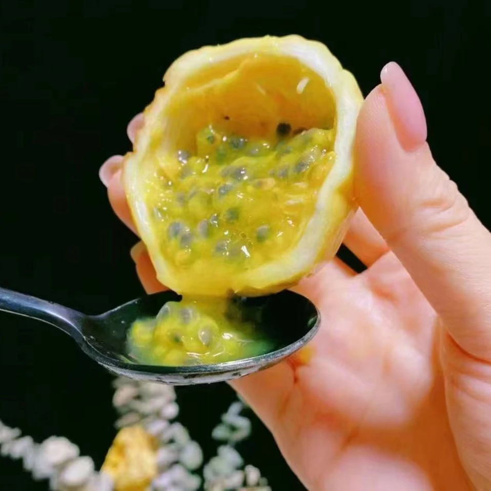 【一大袋】黄百香果 泡水喝 挖着吃都可以 一袋六颗左右