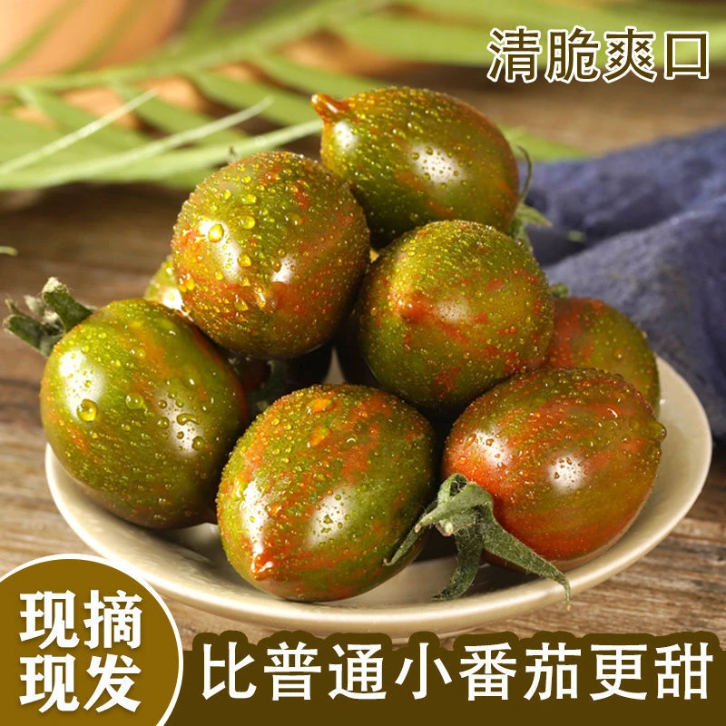 迷彩小番茄西红柿水果柿子生吃圣女果山东寿光新鲜蔬菜2/3/4/5斤