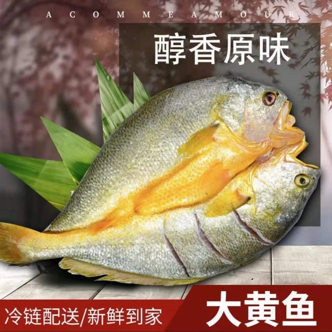 【7条 300-340g/条品质黄鱼鲞】清理干净 福建宁德霞浦大黄鱼包邮