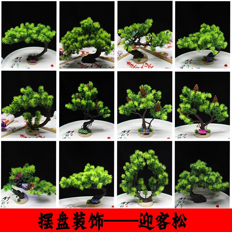 酒店餐饮创意刺身冷菜凉菜摆盘装饰花草日料西餐酒席菜品点缀摆件