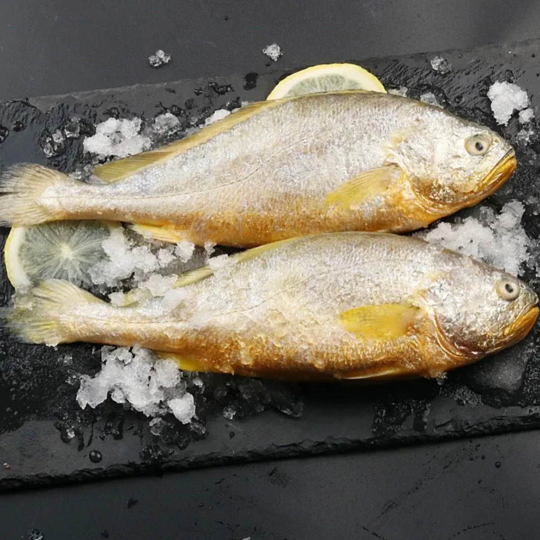 【B祁大婶】连云港发货 精品黄鱼【200g-250g】/条 新鲜速冻 到手十条